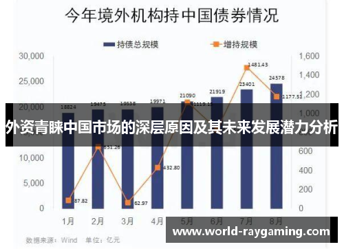 外资青睐中国市场的深层原因及其未来发展潜力分析