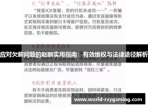 应对欠薪问题的赵鹏实用指南：有效维权与法律途径解析