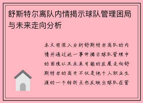 舒斯特尔离队内情揭示球队管理困局与未来走向分析