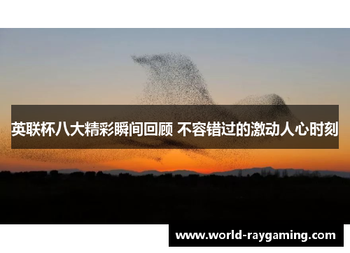 英联杯八大精彩瞬间回顾 不容错过的激动人心时刻